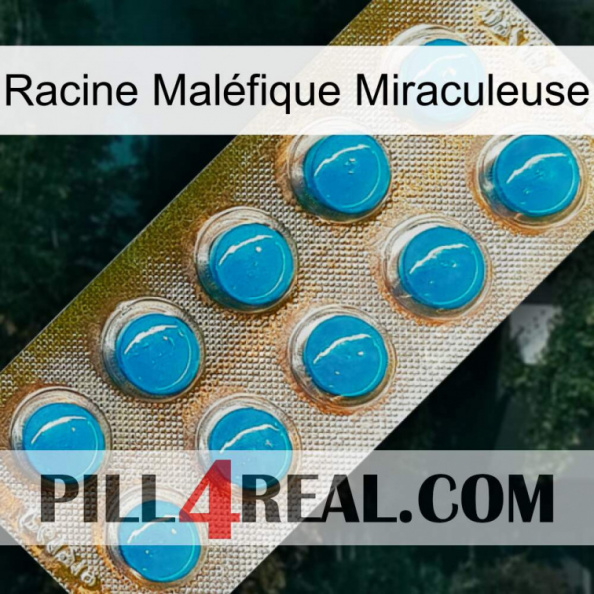 Racine Maléfique Miraculeuse new09